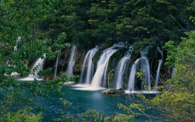 独特精密